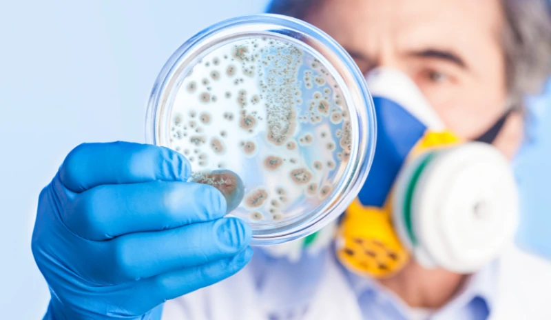 10 Amenazas Invisibles en el Aire Interior: Virus, Bacterias, Hongos y Olores que Impactan en la Salud