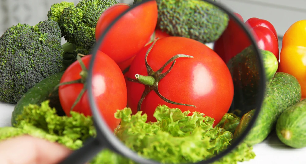 Mantener Segura la Industria Alimentaria: Un Deber para Todos