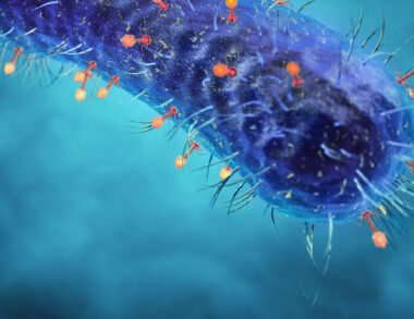 Elimina Virus, Bacterias y Hongos