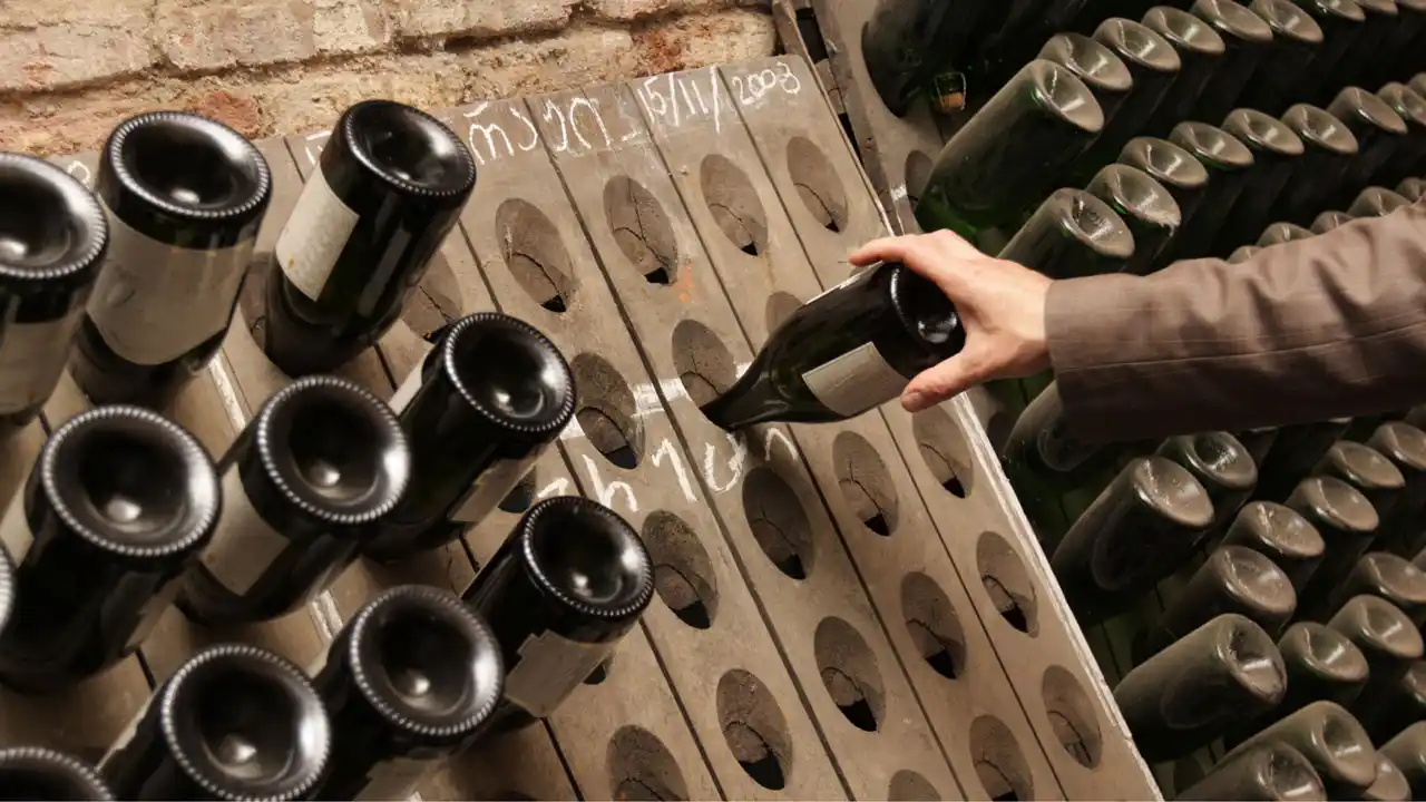 Vinos y Bebidas