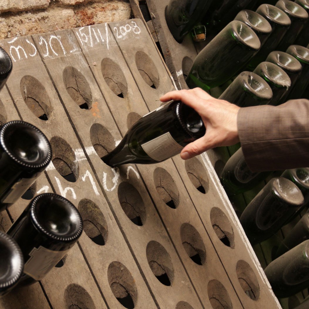 Vinos y Bebidas