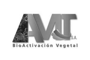 AMT
