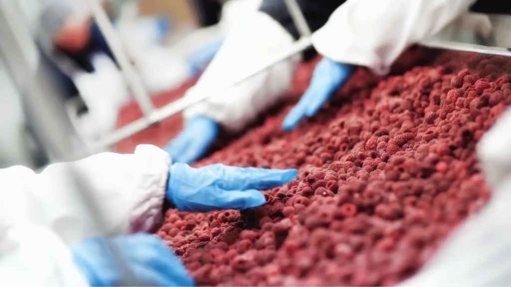 Purificación ambiental para la industria alimentaria: HEPA, UV-C e hidroxilos